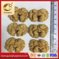 Hot Sale New Crop Good Quality Walnut Kernels Extra White Bulk Price